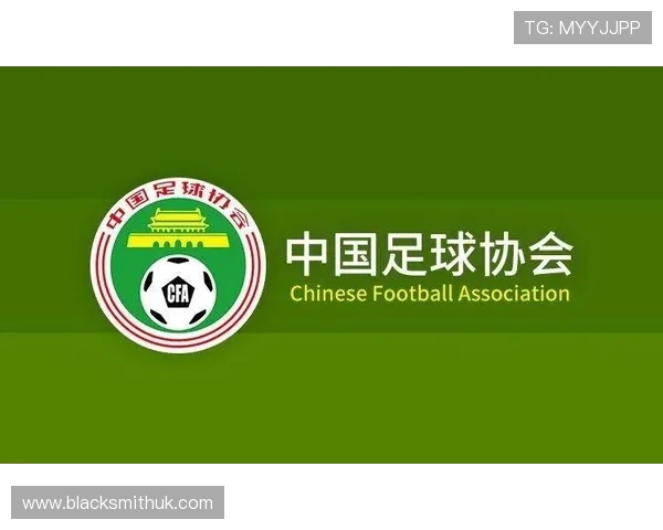 完美体育官方合作伙伴名单详解打造最专业的体育赛事生态圈