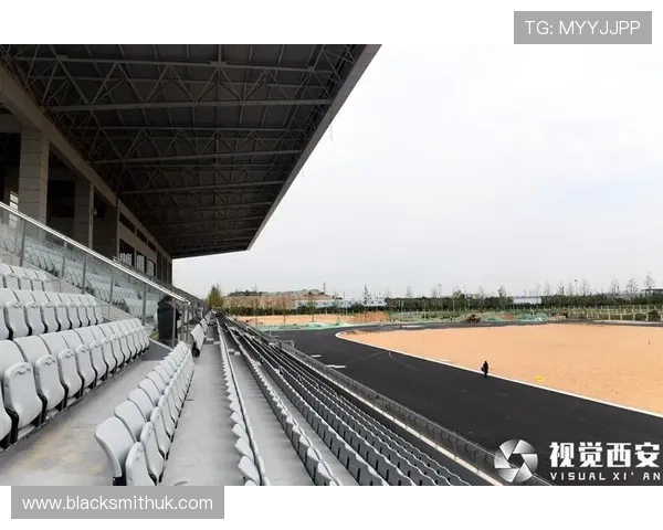 BV体育官方网站未来发展趋势与创新技术应用，探索体育娱乐行业的新机遇